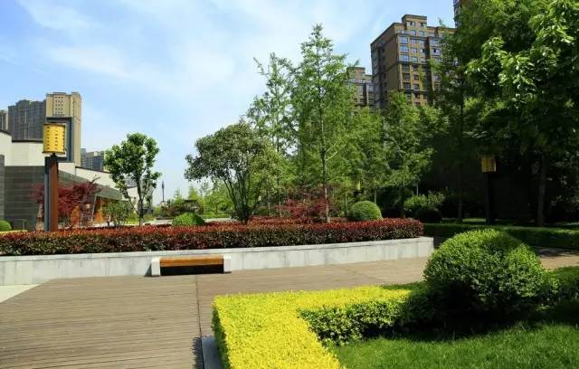 城市園林綠化設(shè)計的八點(diǎn)不宜