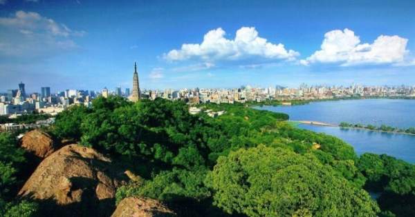 學習國外苗木行業經驗，搶先了解國內市場動態