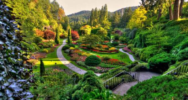 學習國外苗木行業經驗，搶先了解國內市場動態