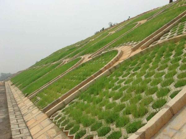 護坡綠化工程種植草坪 護坡綠化工程種植草坪