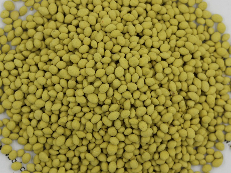 巴哈雀稗種子 巴哈雀稗種子