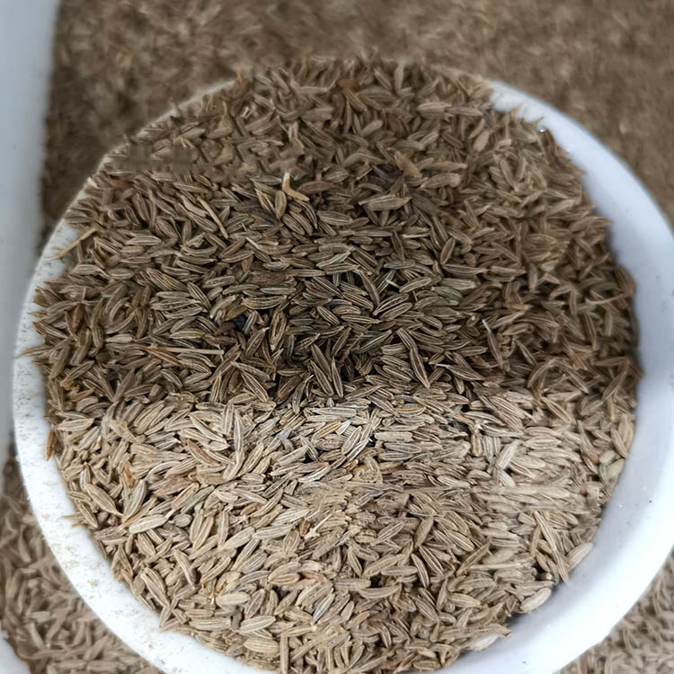 孜然種子 孜然種子